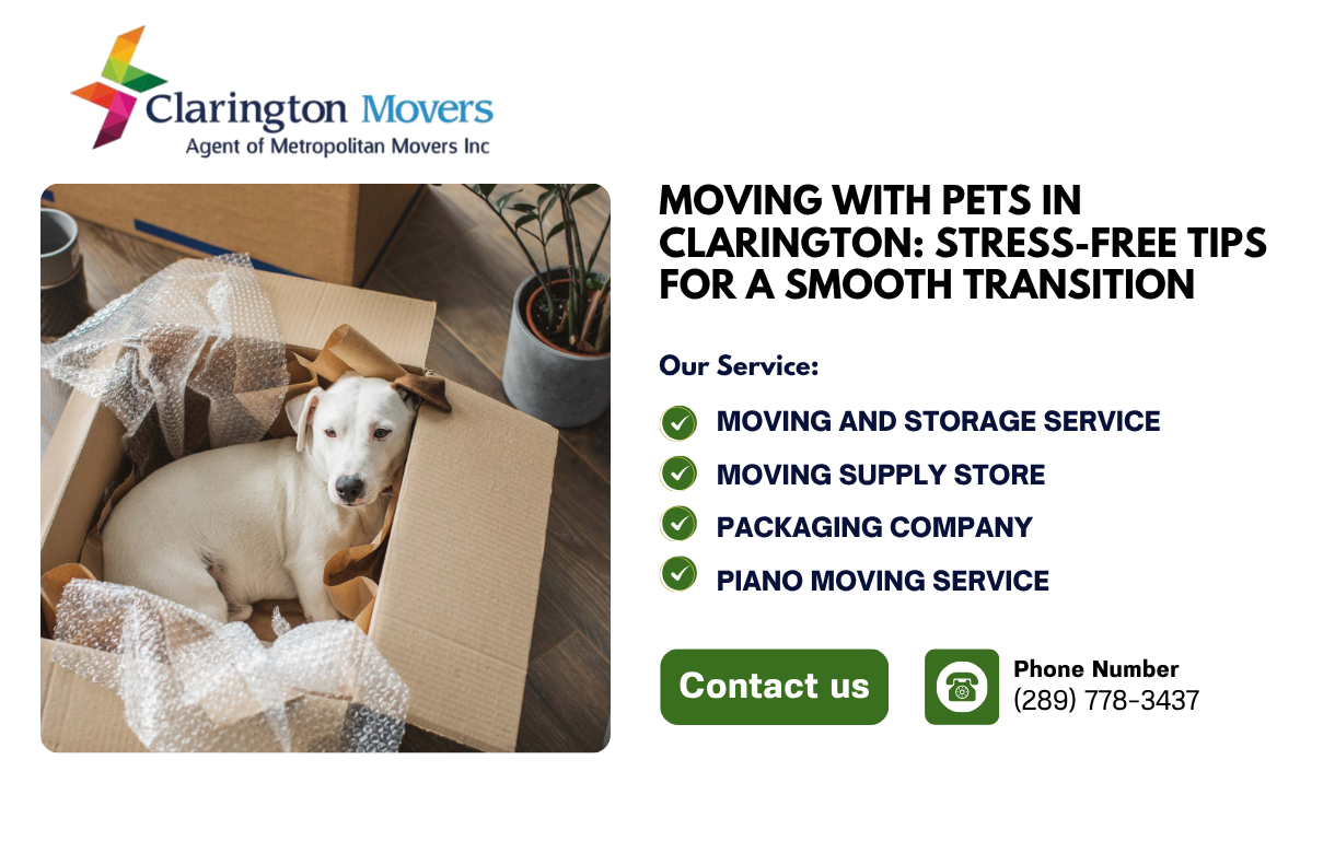 Moving with Pets in Clarington Stress-Free Tips & Guide